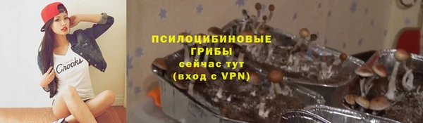 spice Алексин