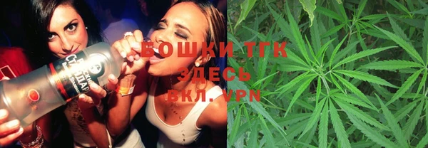 spice Алексин