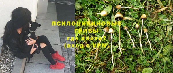 не бодяженный Алексеевка
