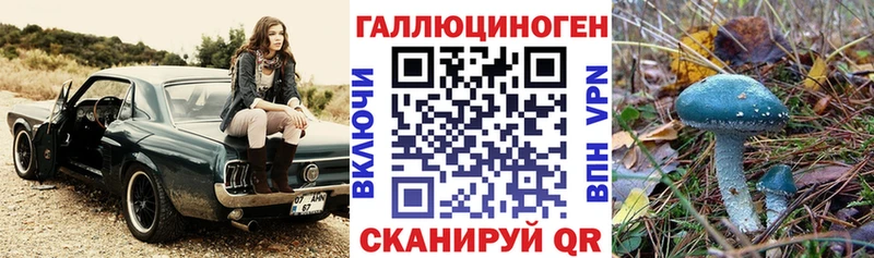 Галлюциногенные грибы прущие грибы  Саки 