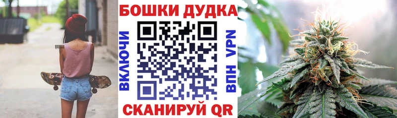 Конопля ГИДРОПОН Саки